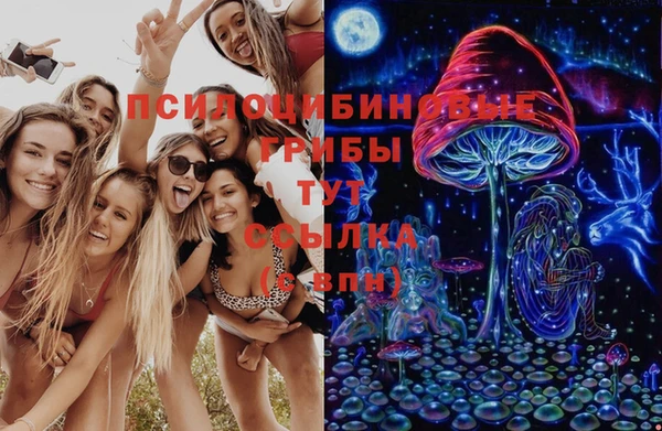 трава Алзамай
